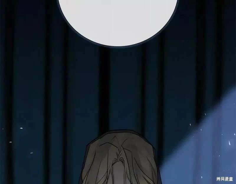 第 235 页