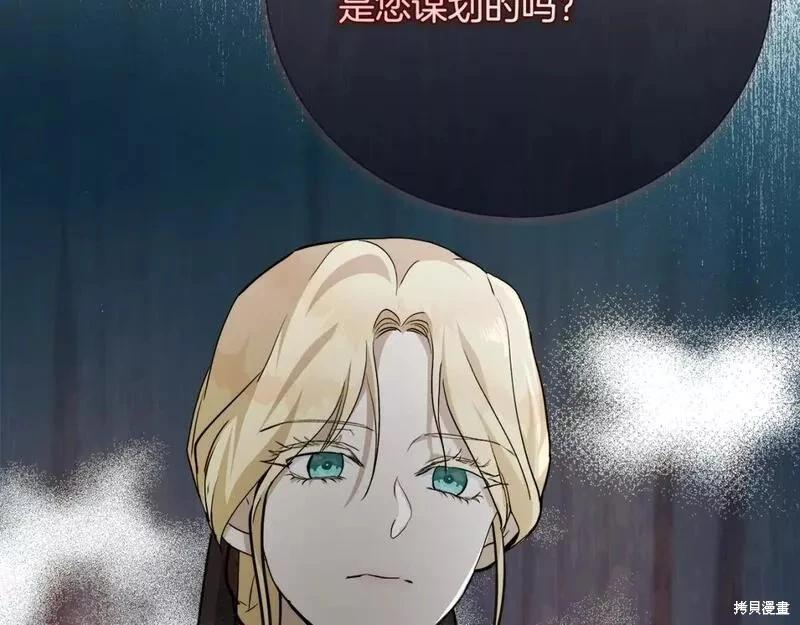 第 245 页