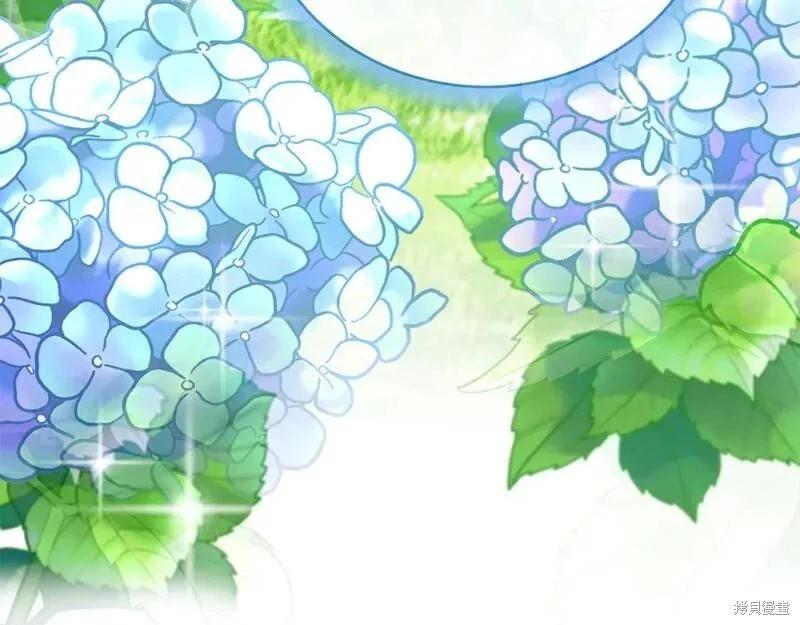 第 232 页