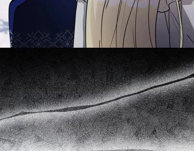 第 244 页