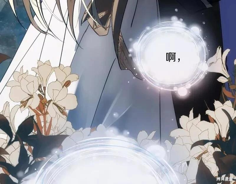 第 116 页