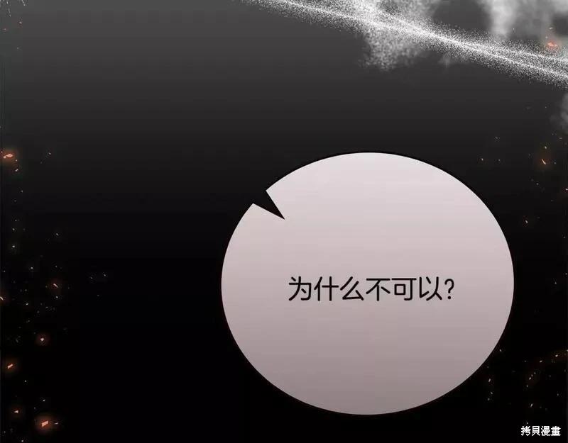 第 202 页