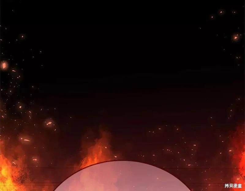 第 203 页