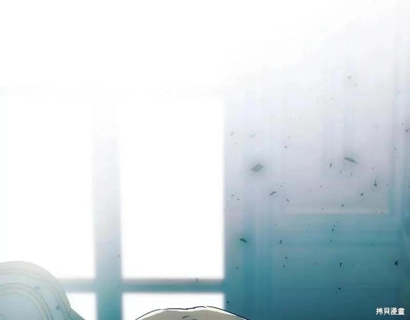 第 216 页