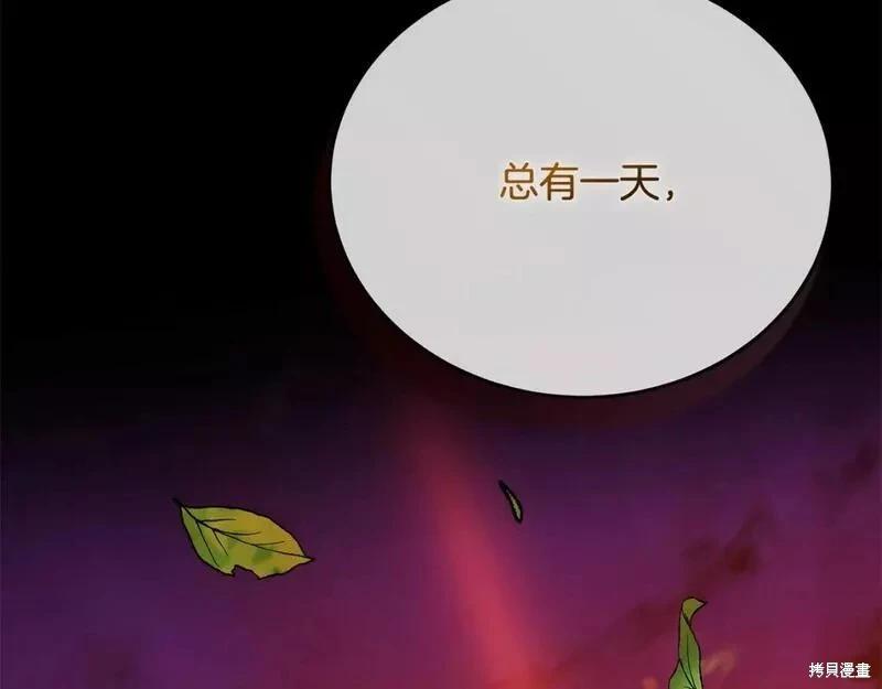 第 126 页