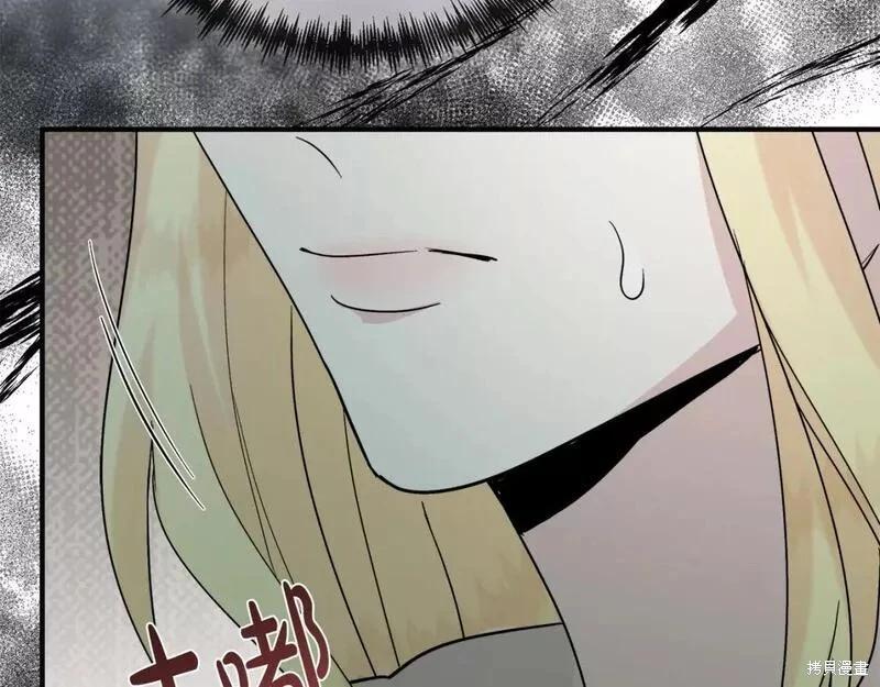 第 207 页