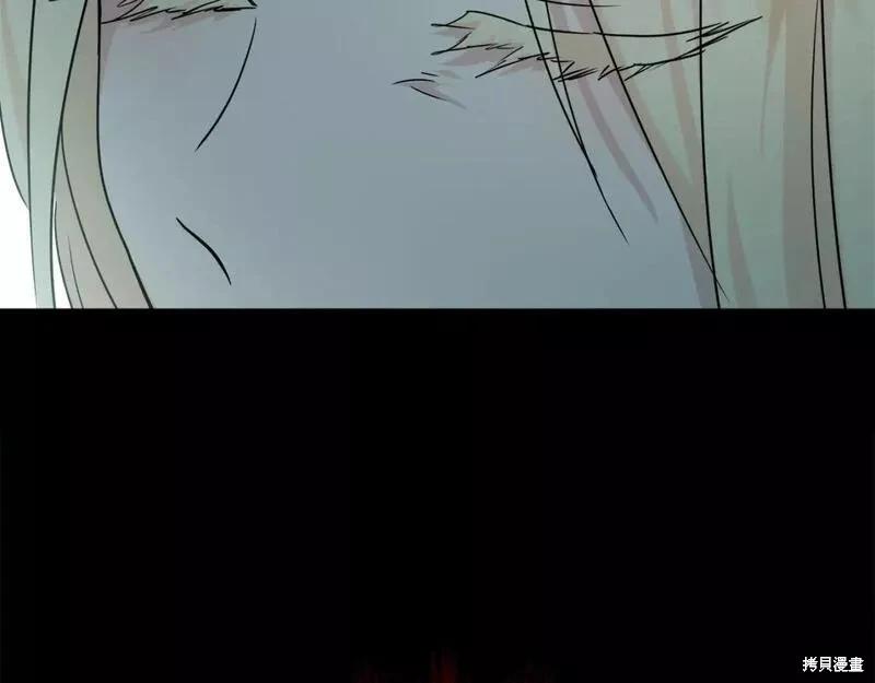 第 217 页