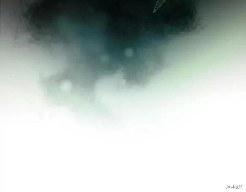 第 221 页