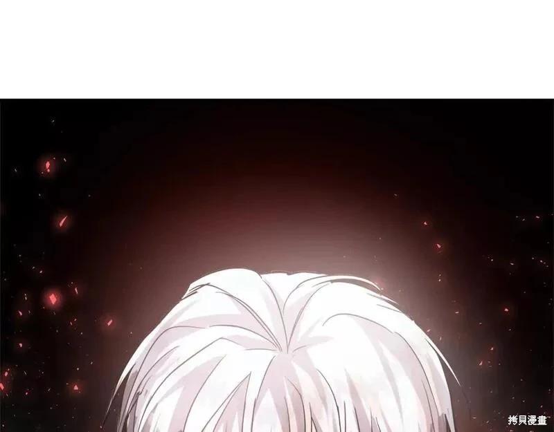 第 233 页