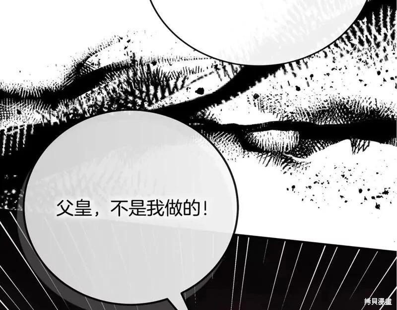 第 242 页