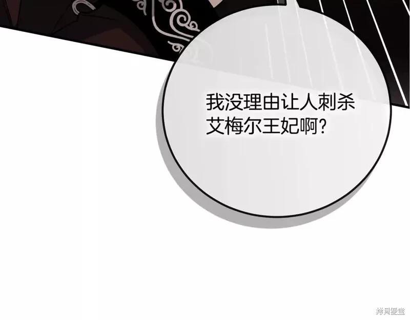 第 245 页