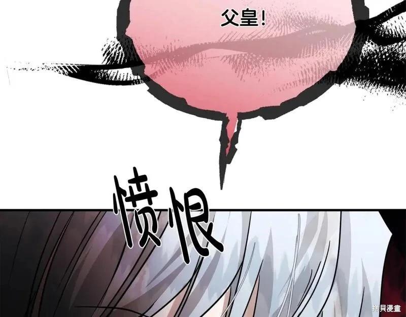 第 113 页
