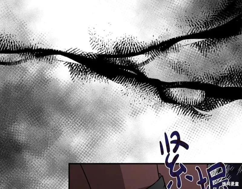 第 123 页
