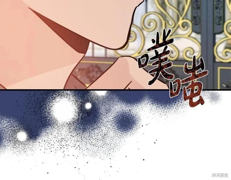 第 206 页