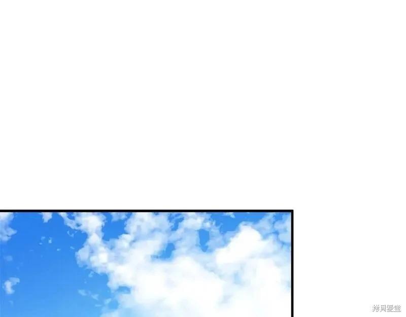 第 207 页