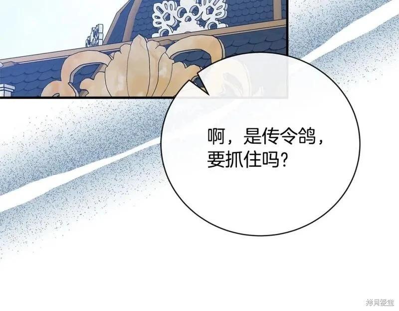 第 209 页