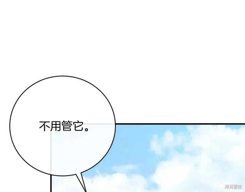 第 210 页