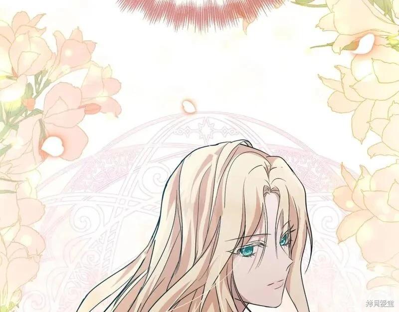 第 229 页