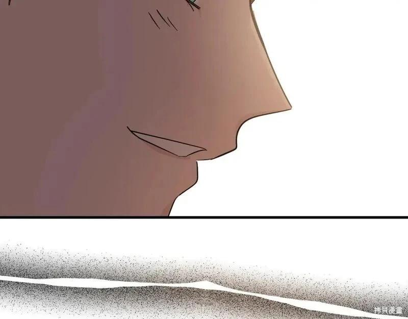 第 204 页