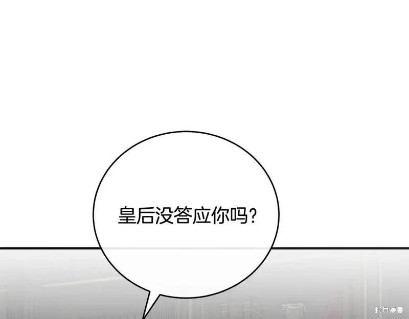 第 116 页