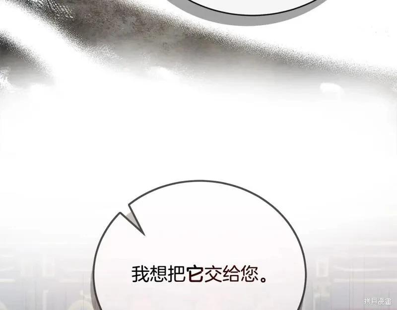第 213 页