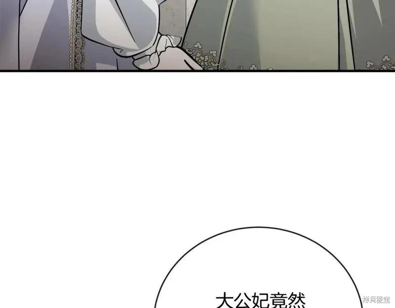 第 223 页
