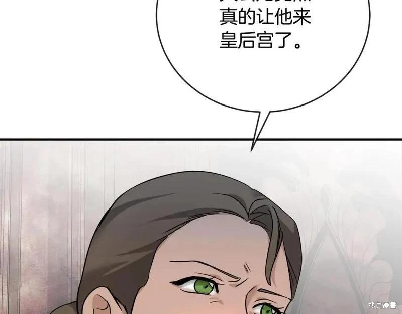 第 224 页
