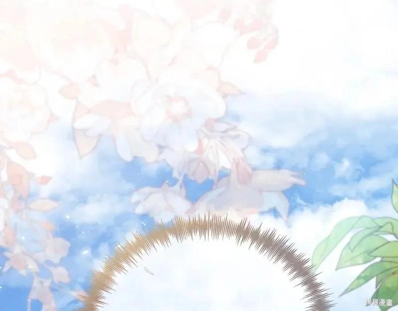 第 242 页