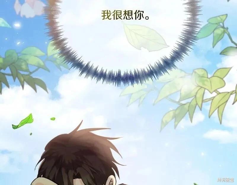 第 243 页