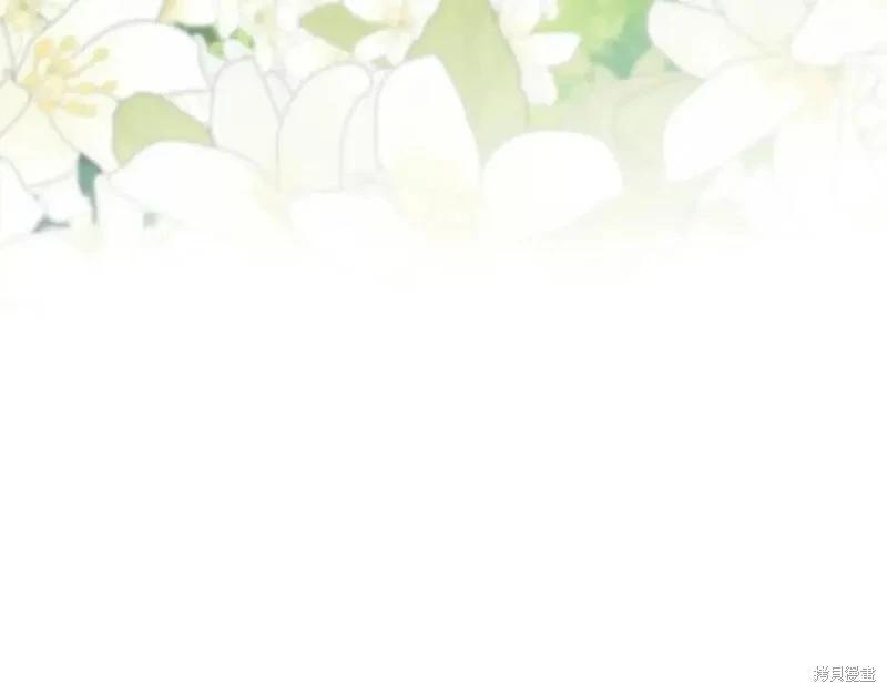 第 247 页