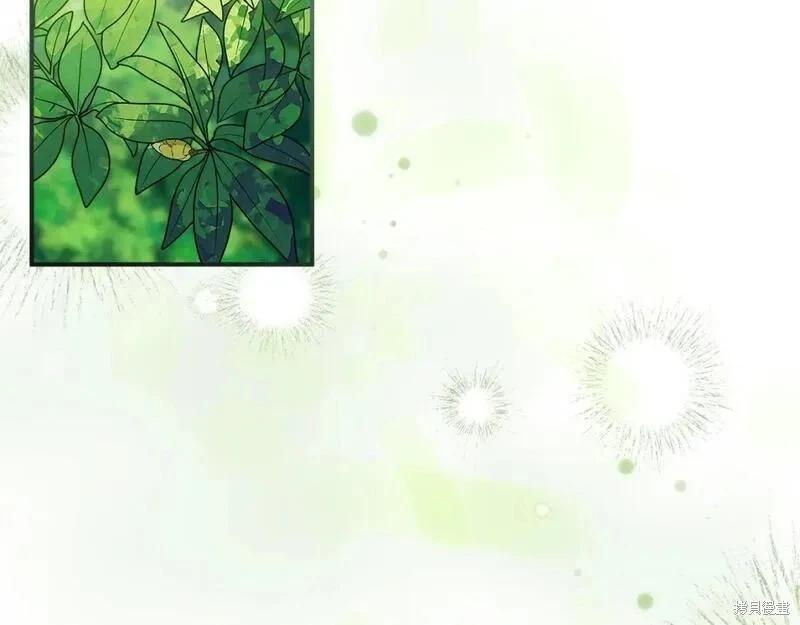 第 158 页
