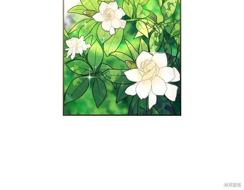 第 161 页