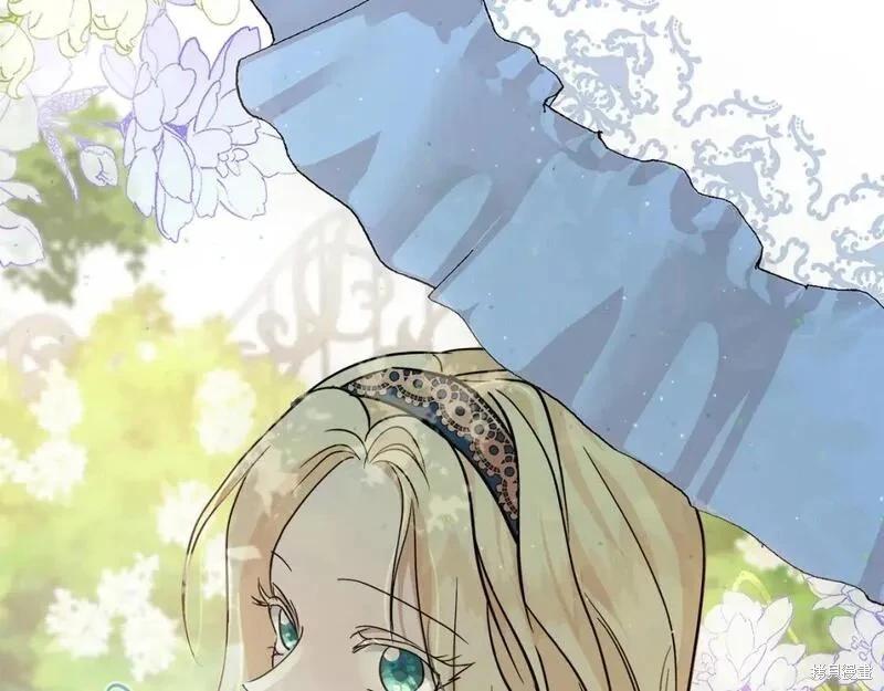 第 213 页