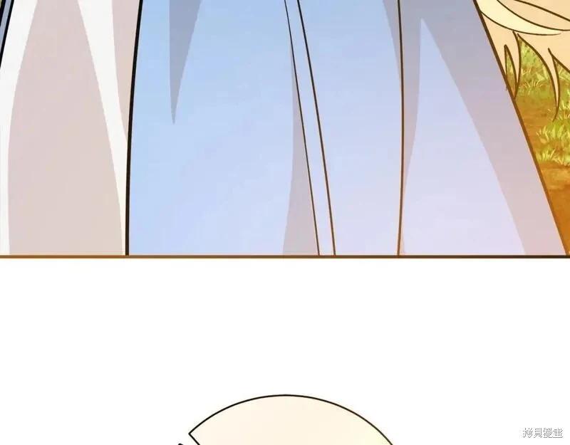 第 216 页