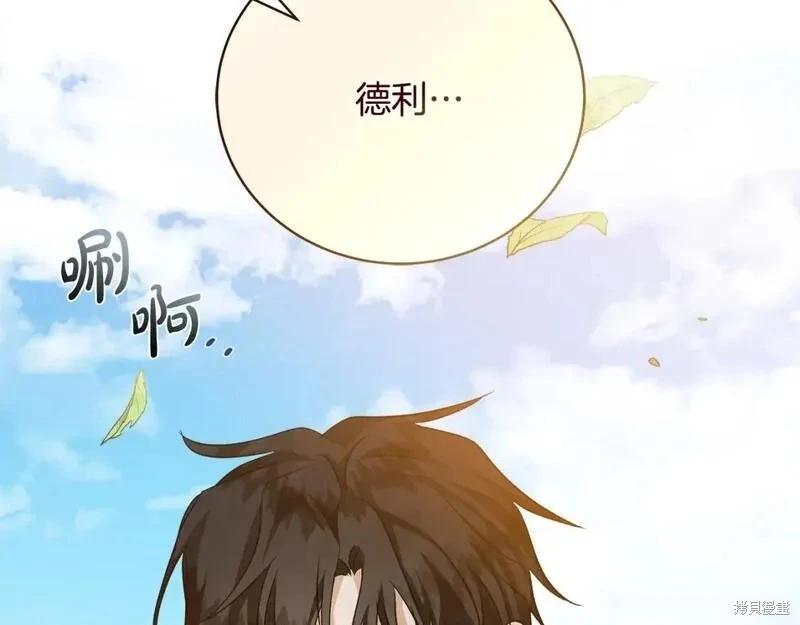 第 217 页