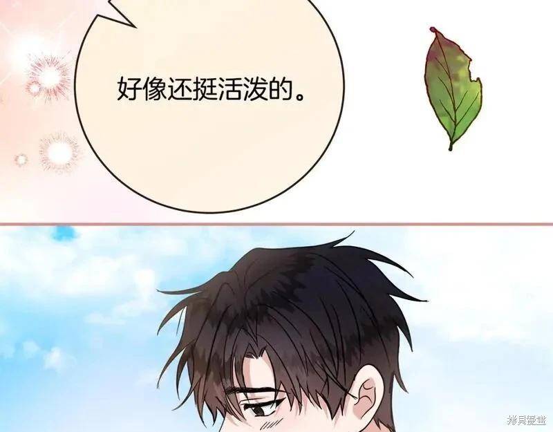 第 233 页