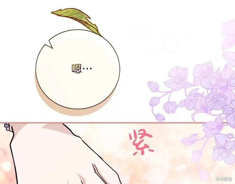 第 236 页