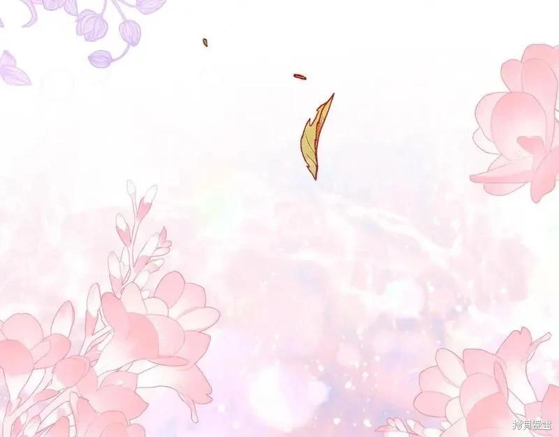 第 238 页