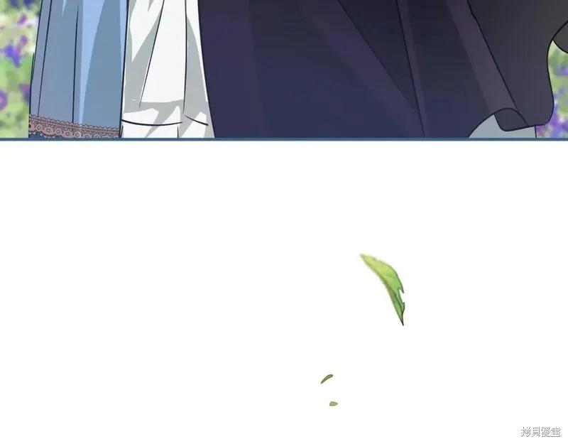 第 244 页