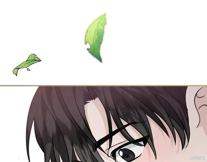 第 245 页