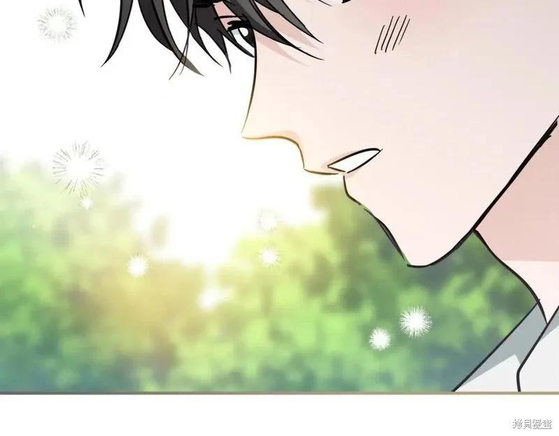 第 246 页