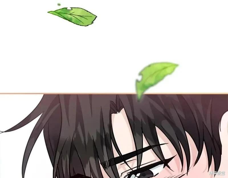 第 247 页