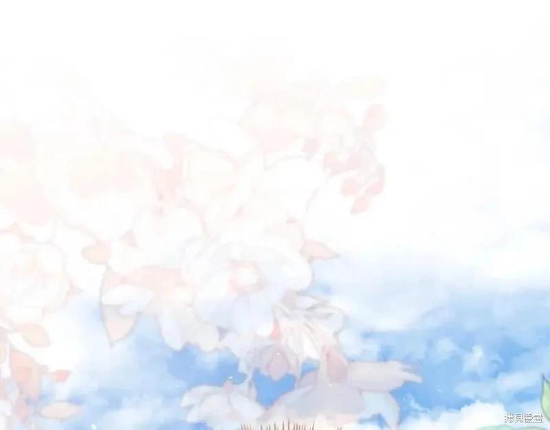 第 249 页