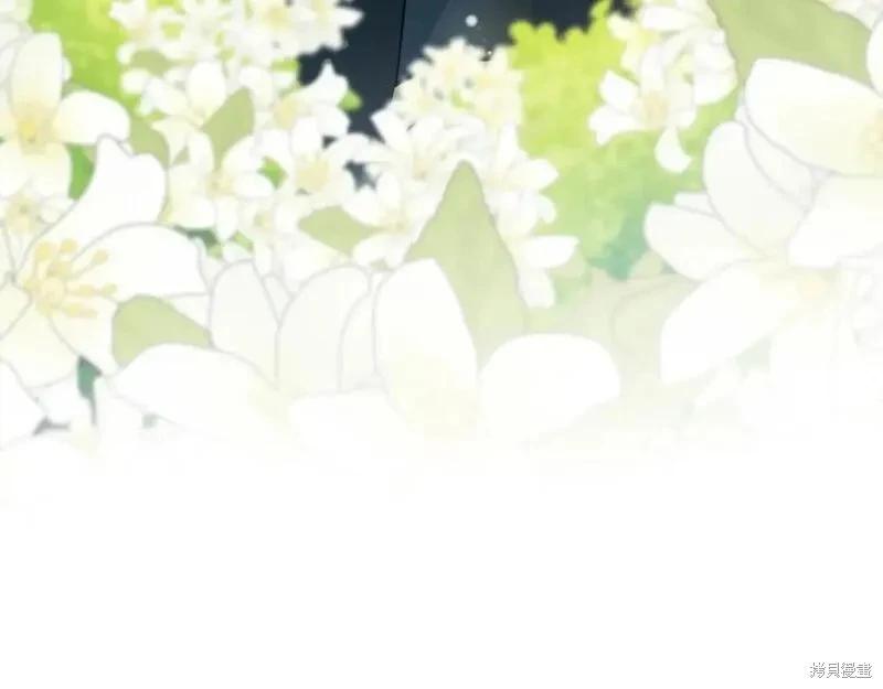 第 254 页