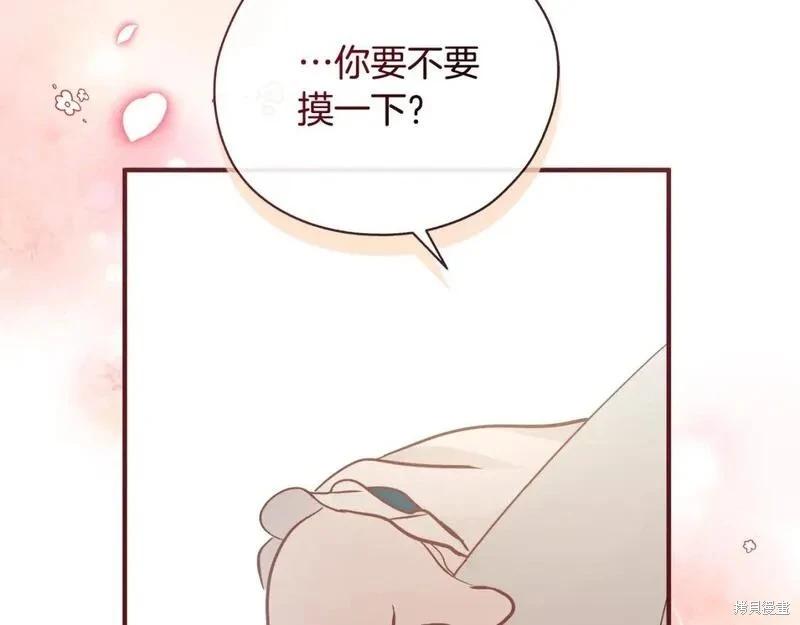 第 258 页