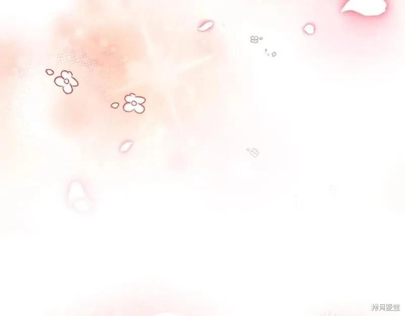 第 260 页