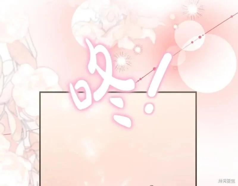 第 261 页