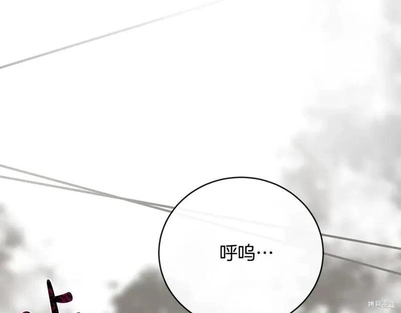 第 117 页