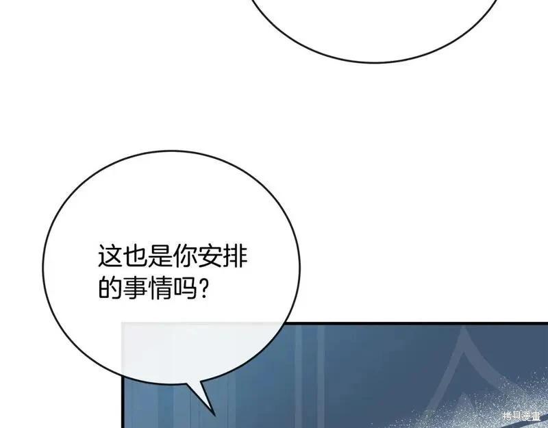 第 203 页