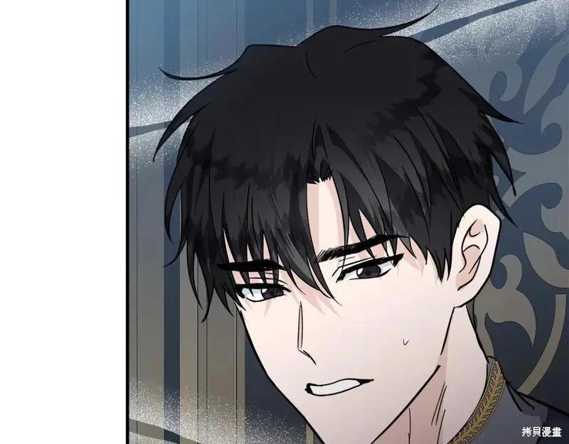 第 204 页